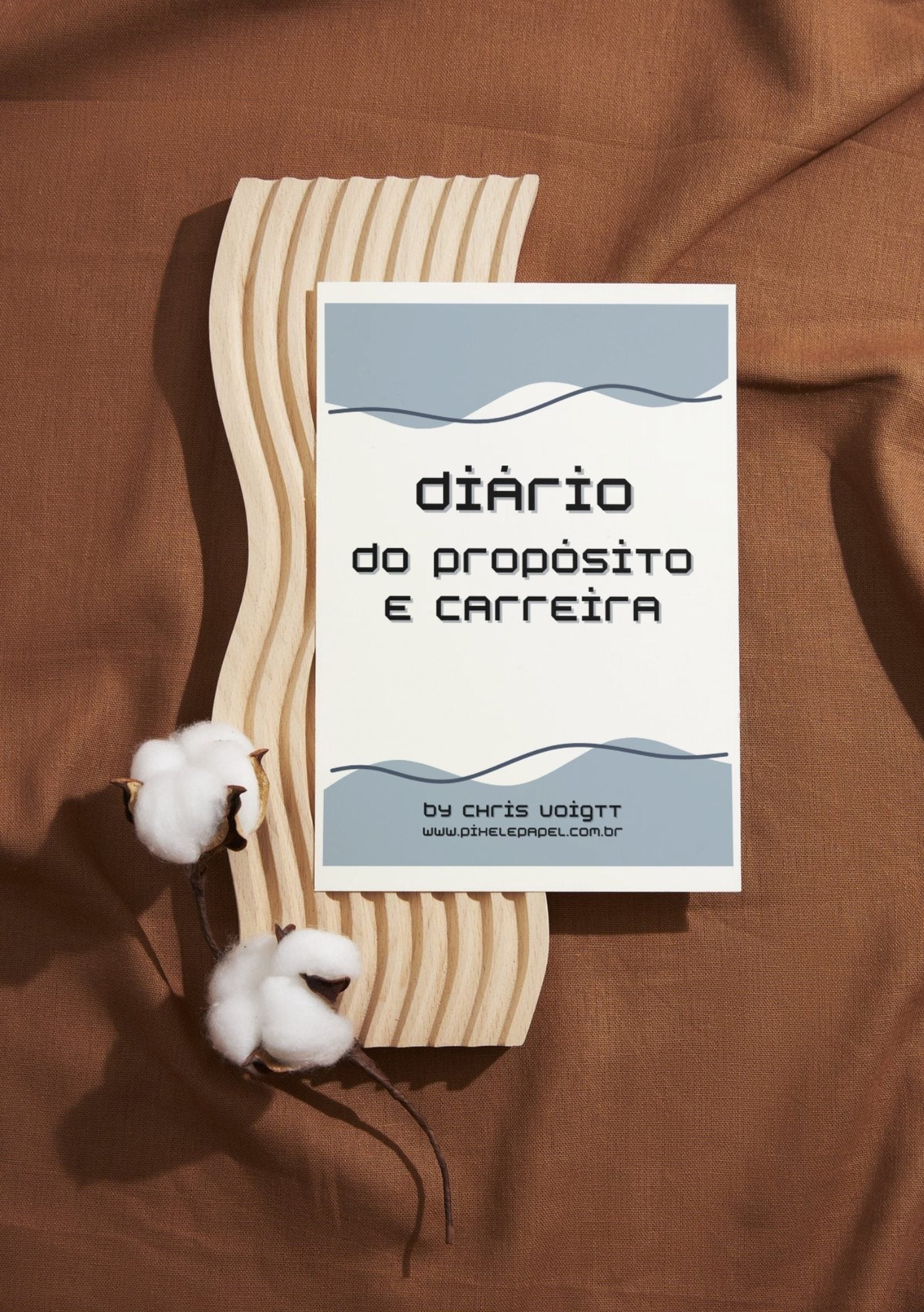 Diário | Propósito e Carreira