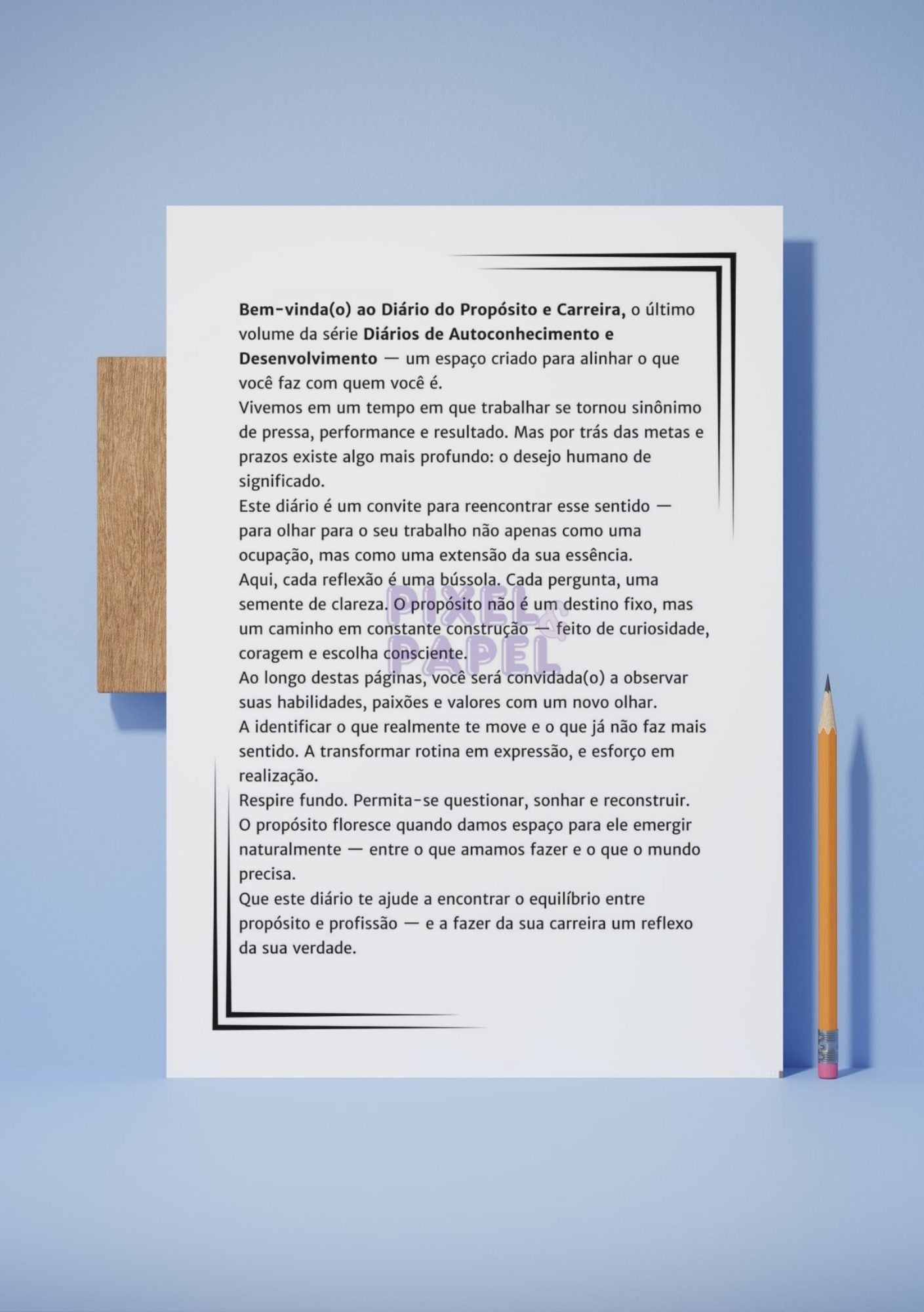 Diário | Propósito e Carreira